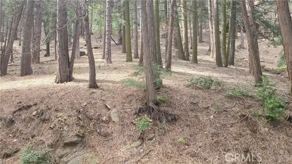 44 Reservoir Road, Cedarpines Park, CA 92322