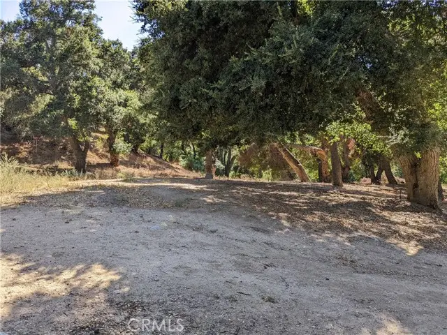 0 San Francisquito Cyn Rd, Green Valley, CA 91350 - Image #1
