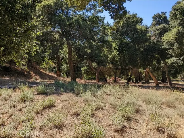 0 San Francisquito Cyn Rd, Green Valley, CA 91350 - Image #2