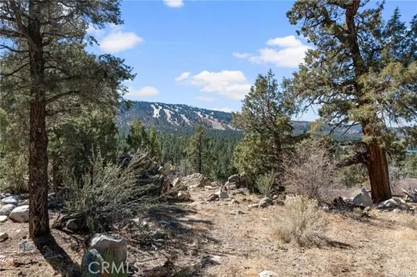 42565 Pegasus Way, Big Bear Lake, CA 92315