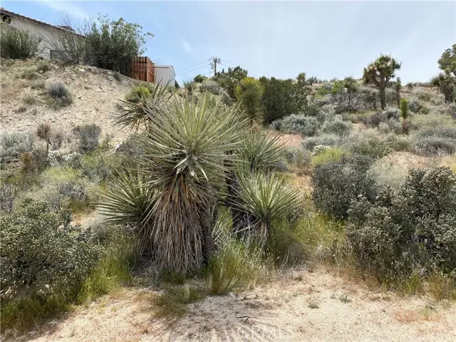 0 Farrelo Road, Yucca Valley, CA 92284 - Image #2