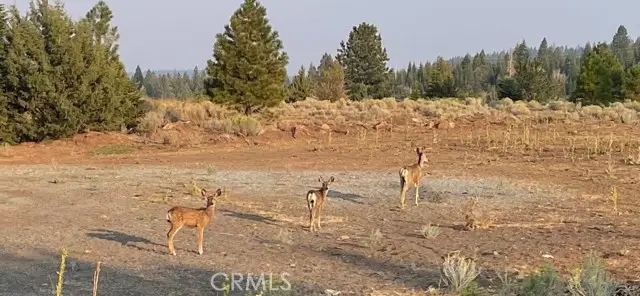 10 Basin And Helms Road, Alturas, CA 96101 - Image #2