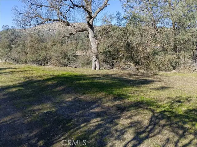 0 Deep Forest Drive, Coarsegold, CA 93614 - #1