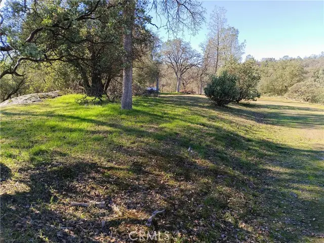 0 Deep Forest Drive, Coarsegold, CA 93614 - #2