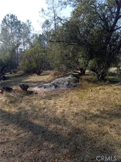 0 Deep Forest Drive, Coarsegold, CA 93614 - #3