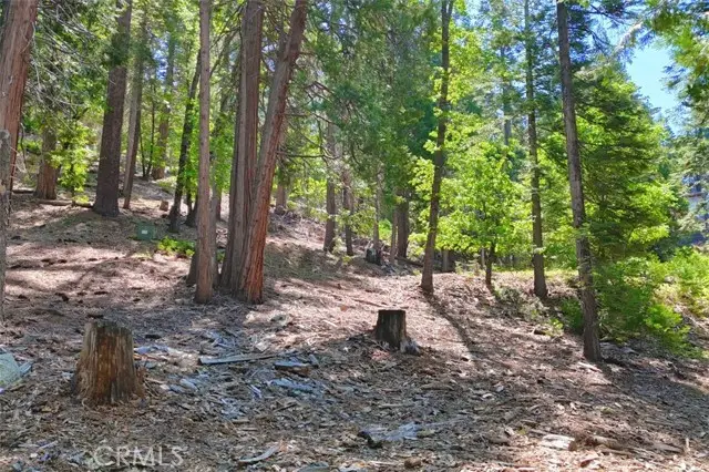 7220 Yosemite Park Way, Yosemite West, CA 95389 - Image #1