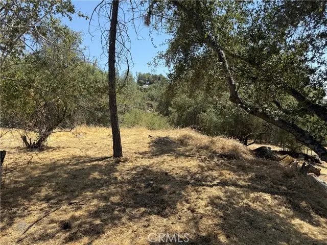 1 N Dome Drive, Coarsegold, CA 93614 - #3