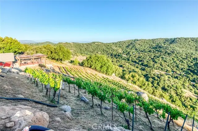 50806 Bramble Lane, Squaw Valley, CA 93675 - Image #2