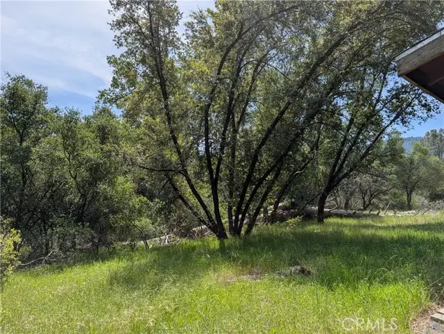 51668 Courtney Lane, Oakhurst, CA 93644 - Image #3