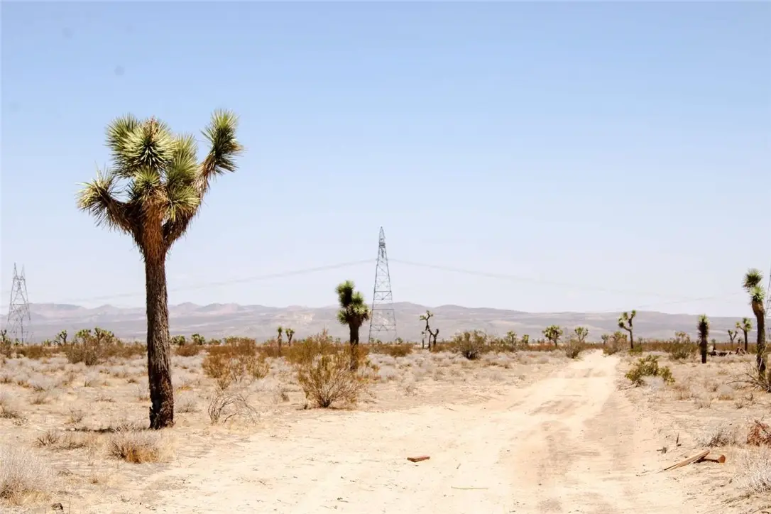 0 Holly Road, Phelan, CA 92371 - Image #1