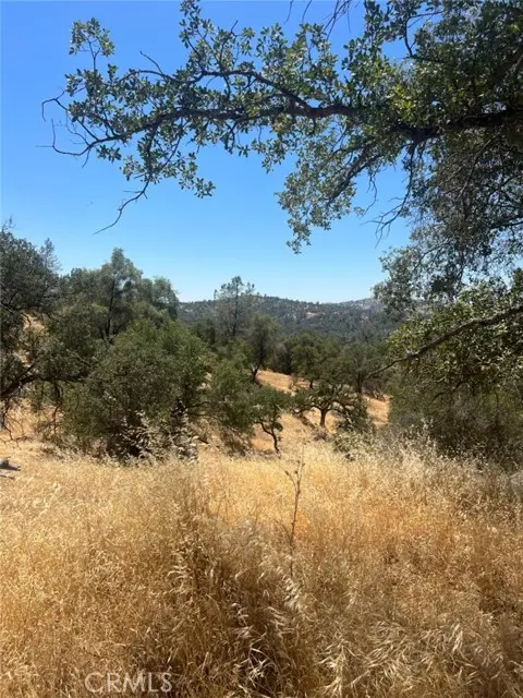 0 Deep Forest Drive, Coarsegold, CA 93614 - Image #1