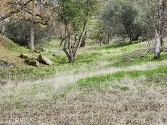 0 Deep Forest Drive, Coarsegold, CA 93614 - Image #3
