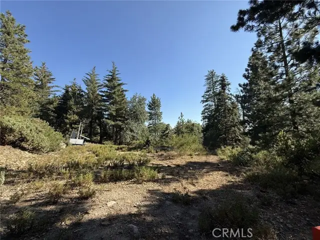 0 Ca-38, Angelus Oaks, CA 92305 - Image #2