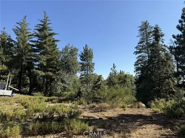 0 Ca-38, Angelus Oaks, CA 92305 - Image #3