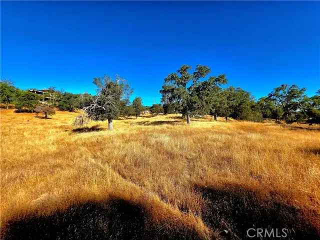 1 Lilley Mountain Drive, Coarsegold, CA 93614 - #1