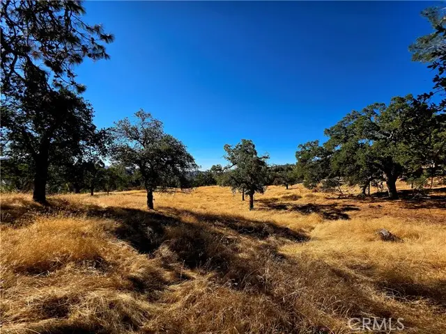 1 Lilley Mountain Drive, Coarsegold, CA 93614 - #2