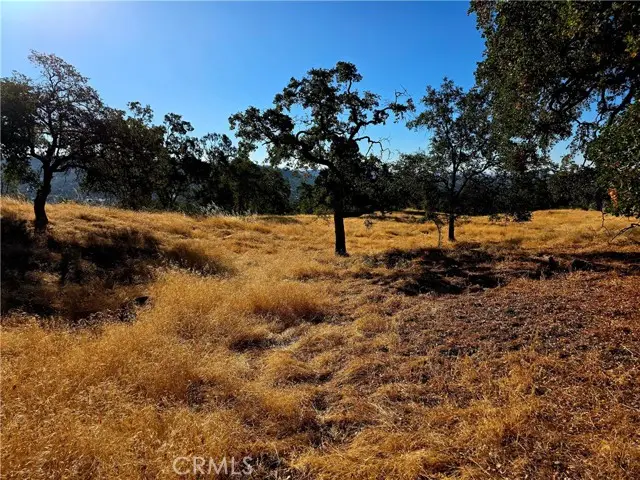 1 Lilley Mountain Drive, Coarsegold, CA 93614 - #3