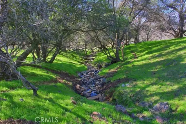 160 Ac Cotton Creek Rd, Mariposa, CA 95338 - #2