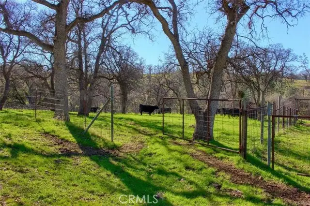 160 Ac Cotton Creek Rd, Mariposa, CA 95338 - #3