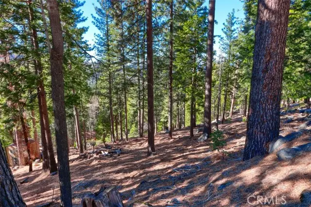 7349 Yosemite Park Way, Yosemite West, CA 95389 - #1