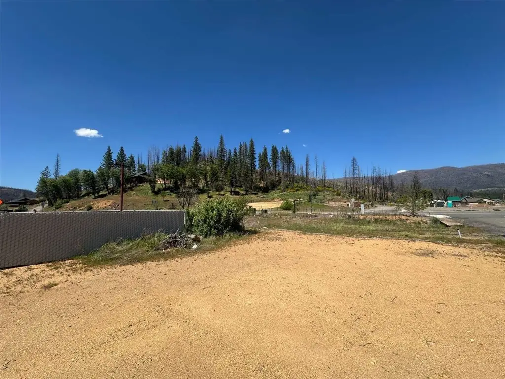 203 Mill Street, Greenville, CA 95947 - #1