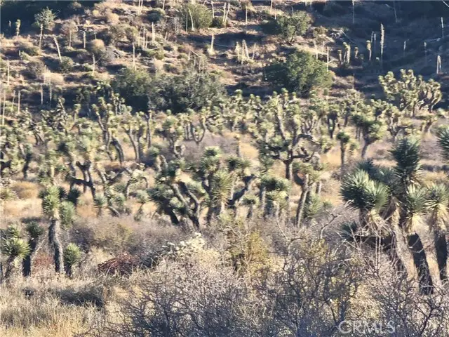 300 E Z12 Street, Llano, CA 93544 - Image #3