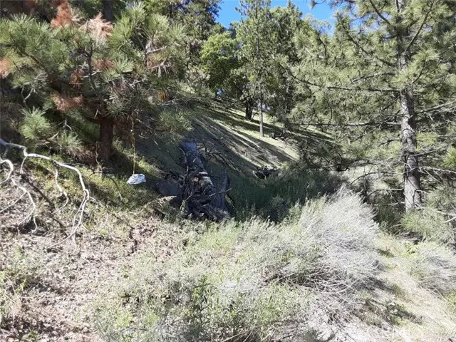 0 Interlaken, Tehachapi, CA 93581 - #3