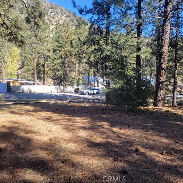 0 Ross, Wrightwood, CA 92397 - #3
