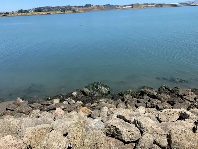 0 Hollister Avenue, San Francisco, CA 94124 - Image #1