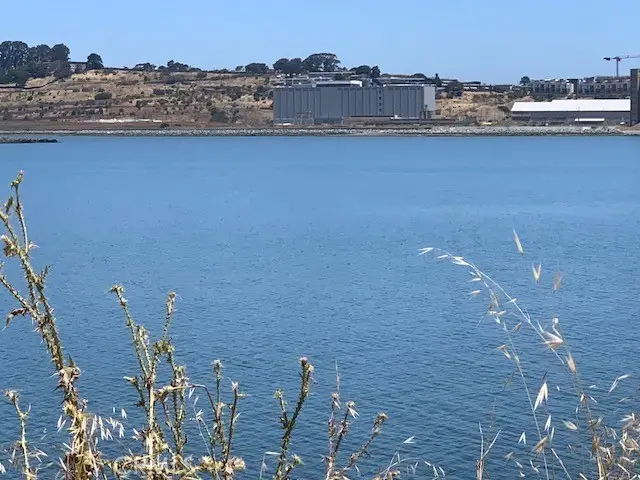 0 Hollister Avenue, San Francisco, CA 94124 - Image #2