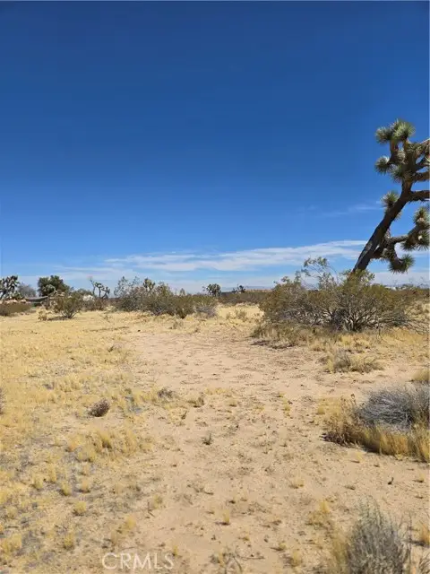 0 Otter Avenue, Adelanto, CA 92301 - #2