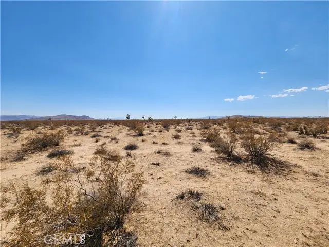 2020 Sunset Road, Joshua Tree, CA 92252 - #2