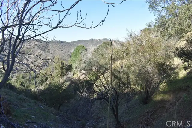 29935 Hickory Dr, Cedar Glen, CA 92321 - Image #1