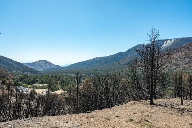 0 North Cardinal Rd, Wrightwood, CA 92397 - Image #1