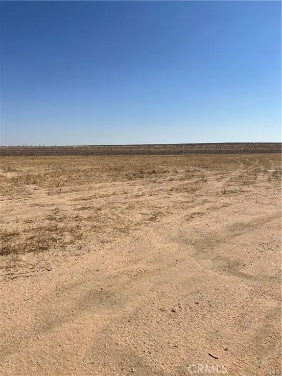 1 N Buckthorne Road, Helendale, CA 92342 - #2