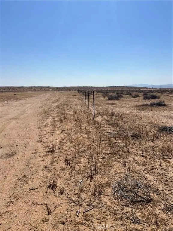 1 N Buckthorne Road, Helendale, CA 92342 - #3