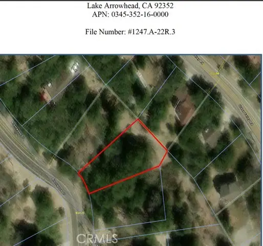 1187 Brentwood Drive, Lake Arrowhead, CA 92352 - #3