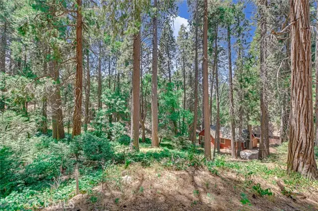 590 Electra Drive, Crestline, CA 92325 - #2