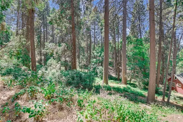 590 Electra Drive, Crestline, CA 92325 - #3