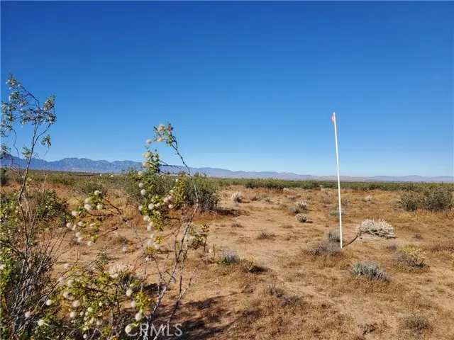 2 Ave L12, Lake Los Angeles, CA 93535 - Image #3