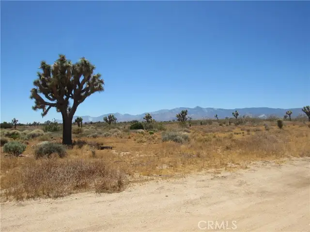 0 Goss Road, Phelan, CA 92371 - Image #3