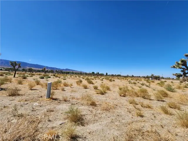 11226 Primavera Road, Pinon Hills, CA 92372 - Image #2