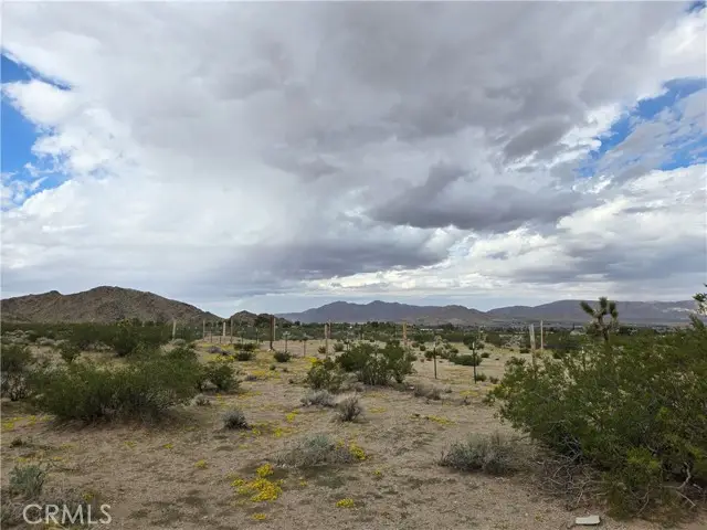 9036 Briar, Lucerne Valley, CA 92356 - #3