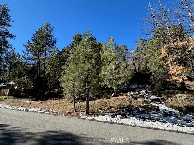 0 Flume Canyon, Wrightwood, CA 92397 - #2