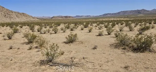 800 Brucite St. Avenue, Lucerne Valley, CA 92356 - #2