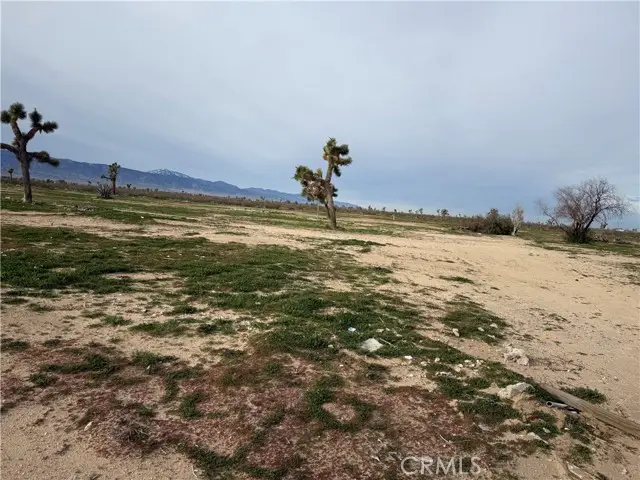 14650 Manada, Phelan, CA 92371 - Image #3