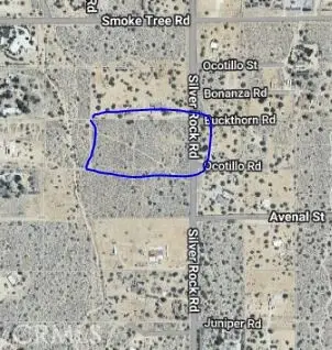 0 Silver Rock, Pinon Hills, CA 92372 - #2