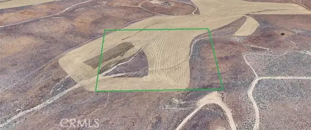 45425 137th St W, Del Sur, CA 93536 - #3