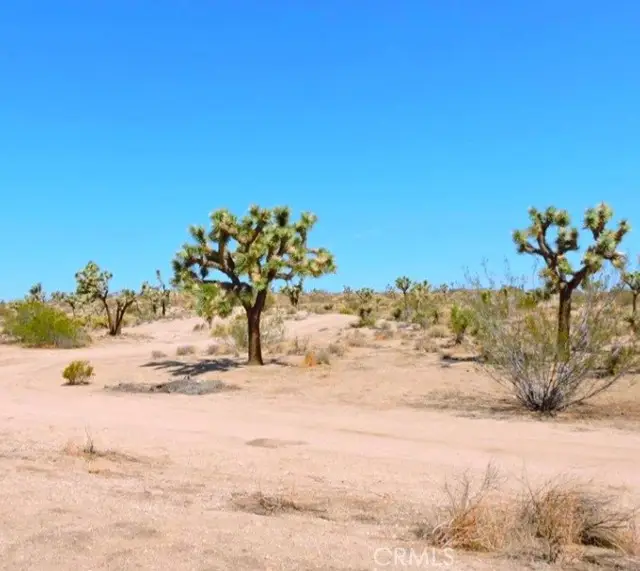 0 Sunway Drive, Yucca Valley, CA 92284 - #2