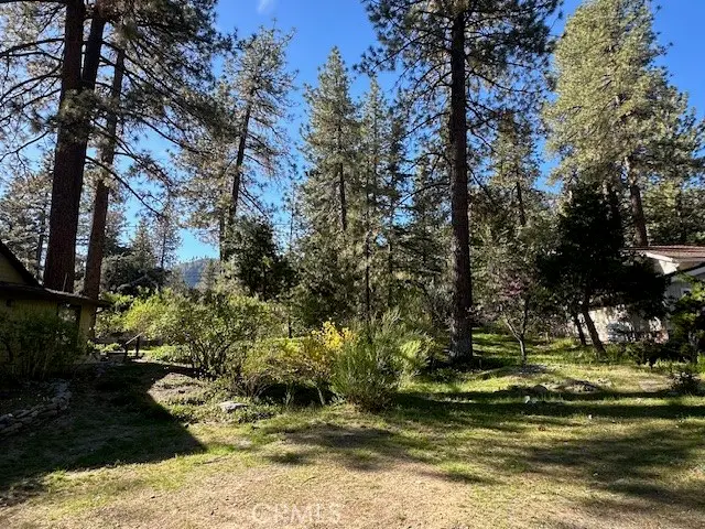 1725 Twin Lakes, Wrightwood, CA 92397 - #1
